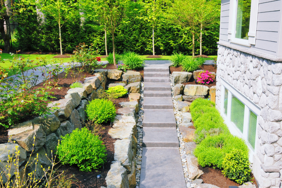 montée d'escalier aménager avec jardin arboré